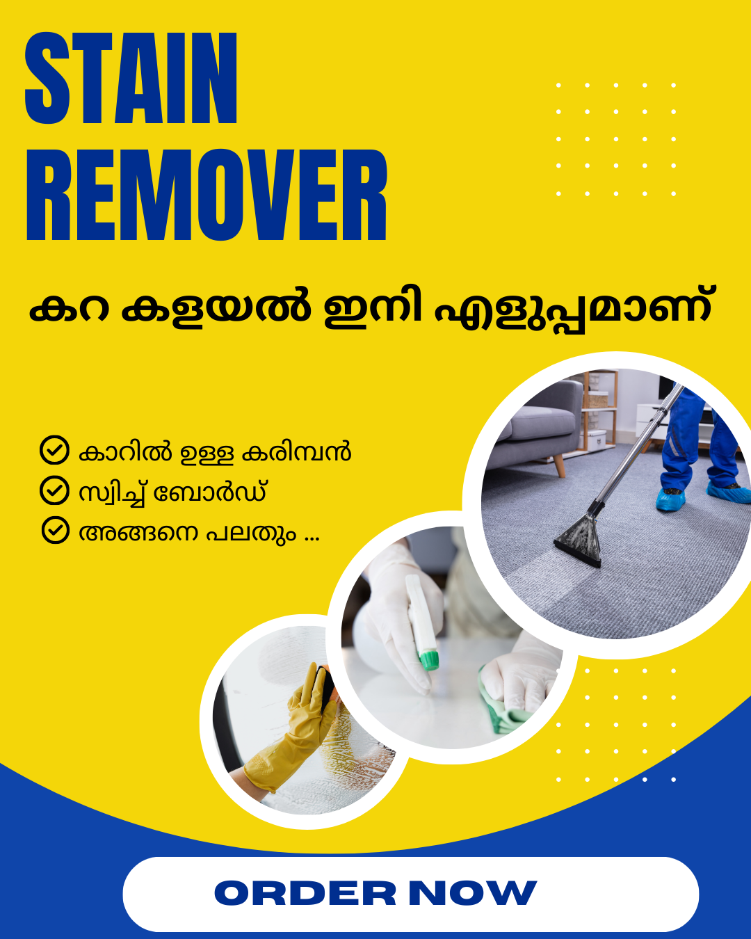 Multi-Surface Stain Remover for Home (200 ml)